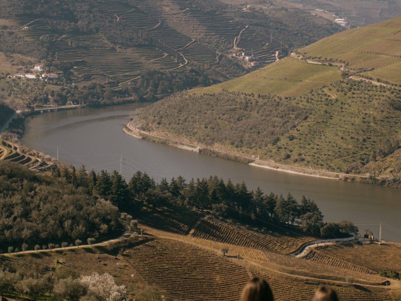 couple at douro valley.