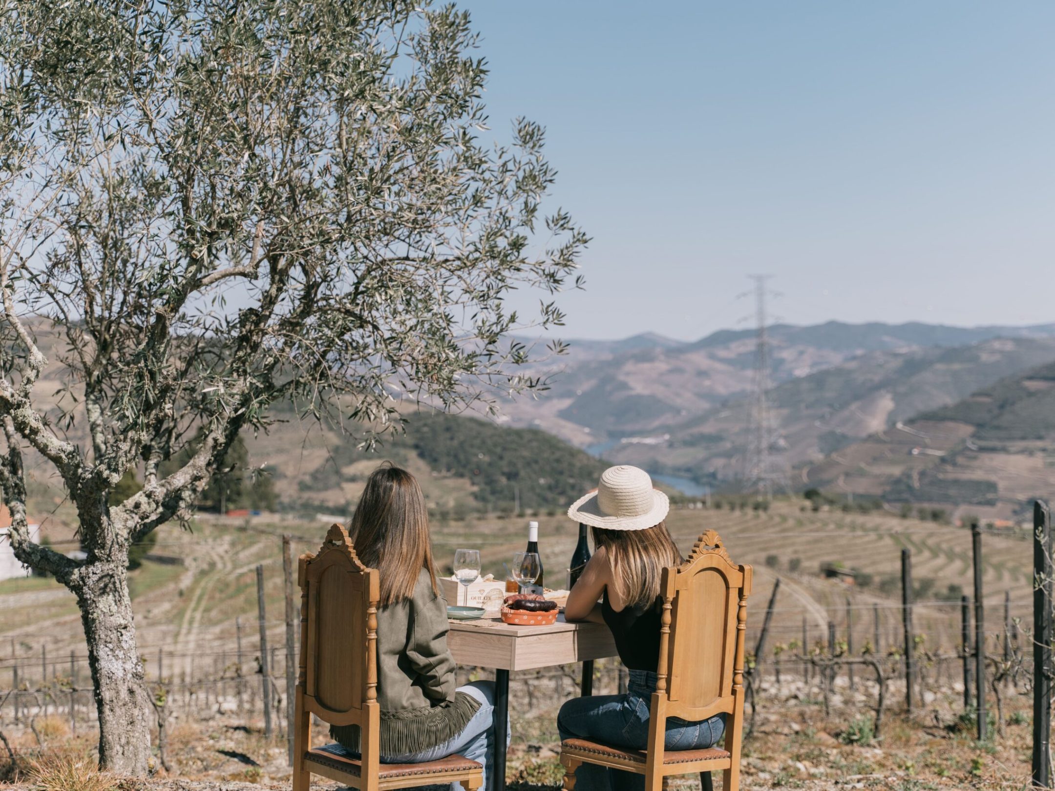 a tree with a mountain in the background