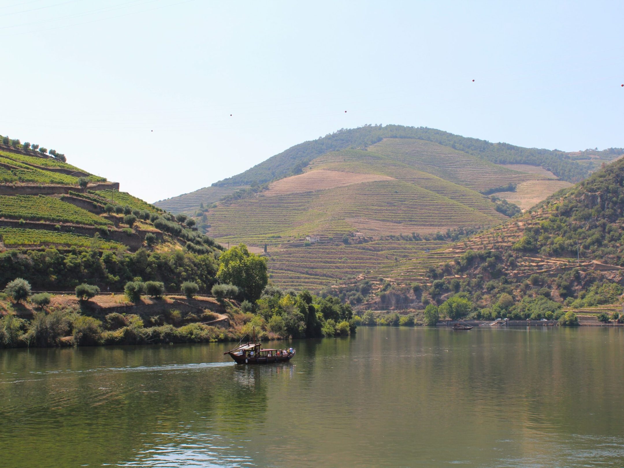 Douro river in center of douro valley Vineyard