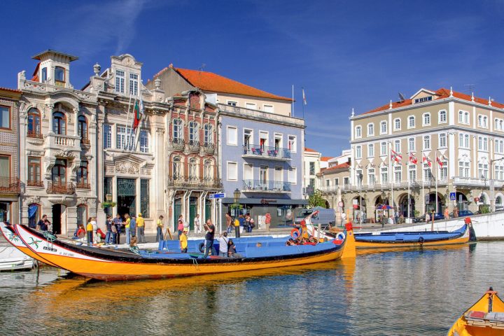 Moliceiro in the Aveiro River
